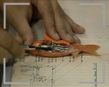 Robot Goldfish Robot Goldfish