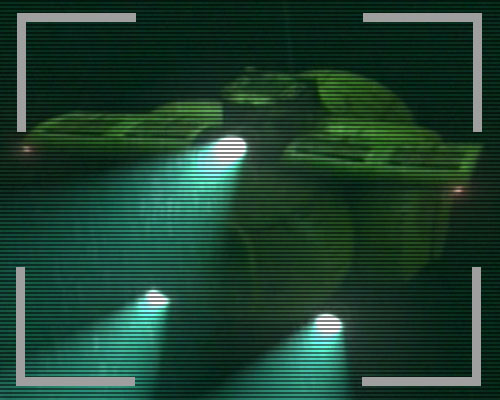 Diving Bell