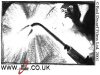 Storyboard 11 of 27