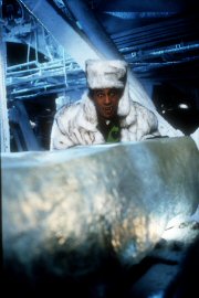 DJ Rates Frozen