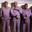 Series VIII On iTunes